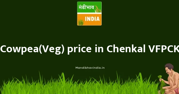 Cowpea(Veg) price